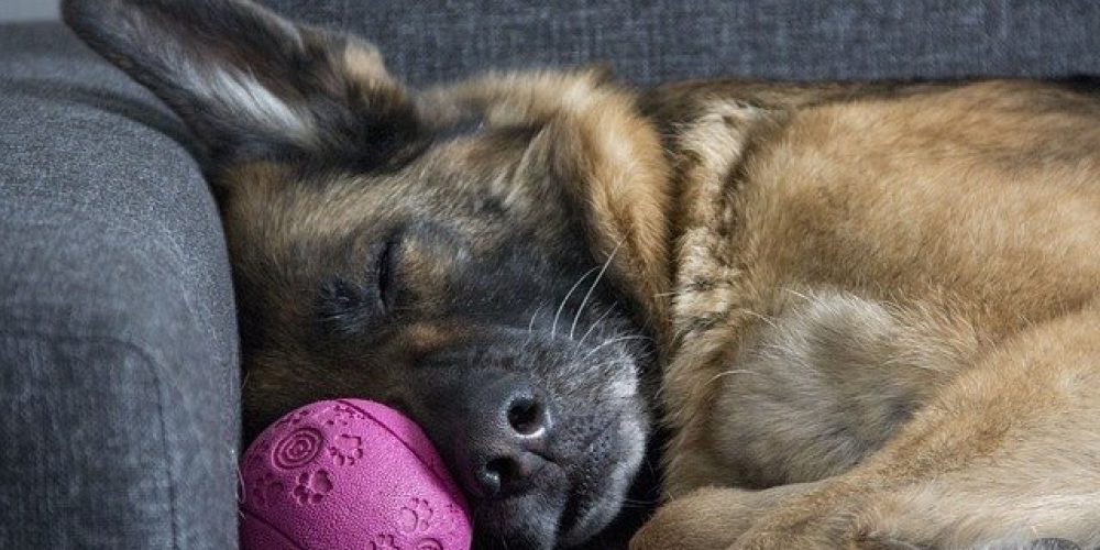 What you should know about these 5 common sleep myths
