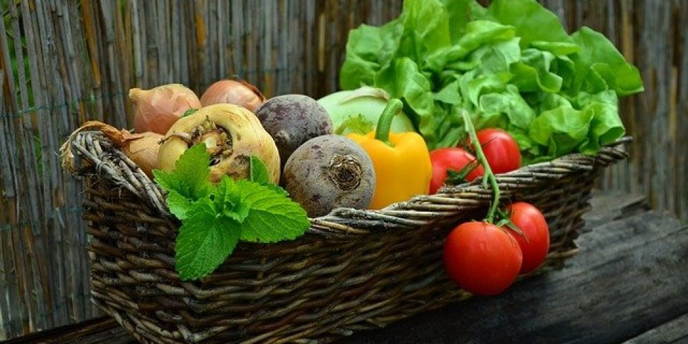 What you eat can impact your TMD