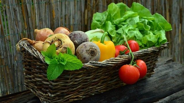 5 ways to help you improve your overall health and lose weight