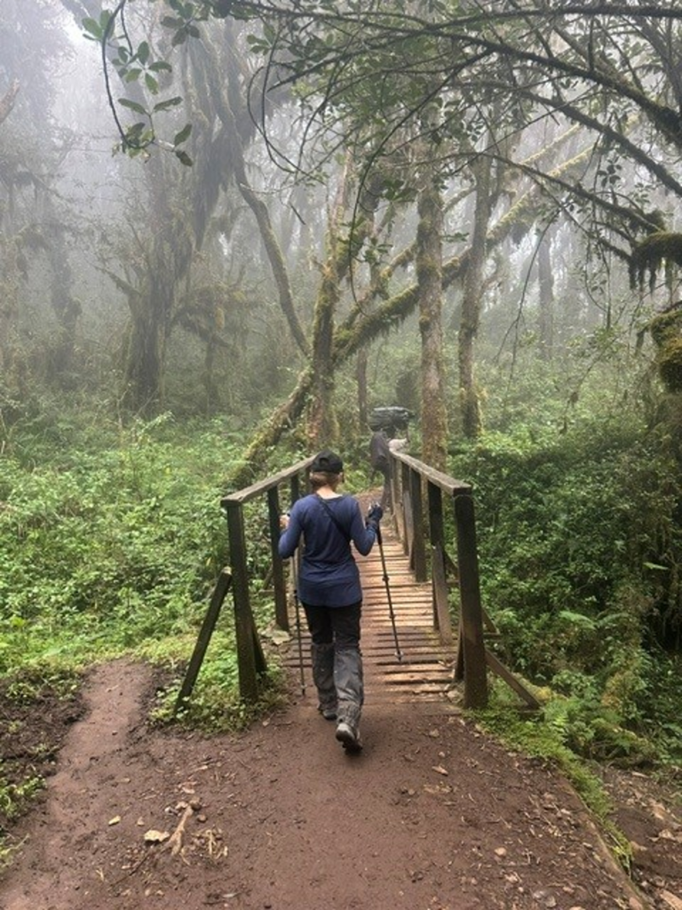 Dr. Sara trekking Kilimanjaro 